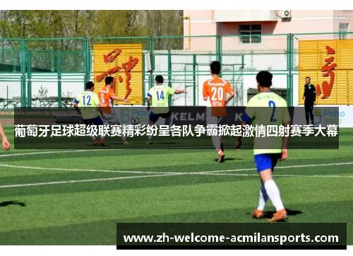 葡萄牙足球超级联赛精彩纷呈各队争霸掀起激情四射赛季大幕